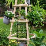 Garden DIY idea