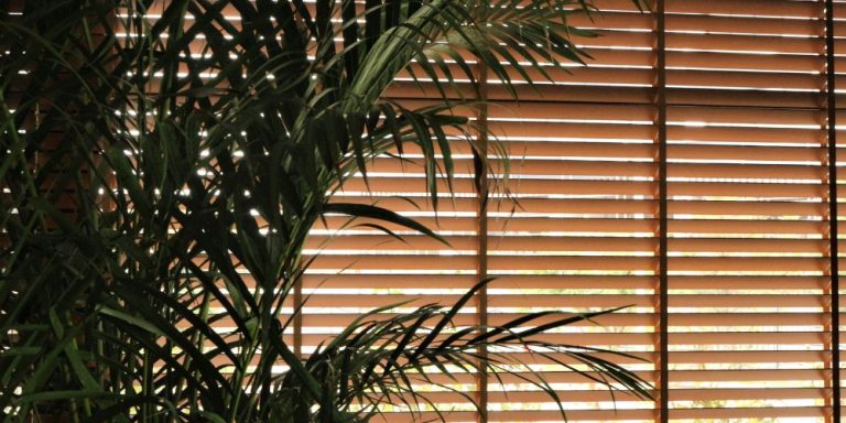 Blinds in Sunshine for Windows : Types, Purposes & Benefits